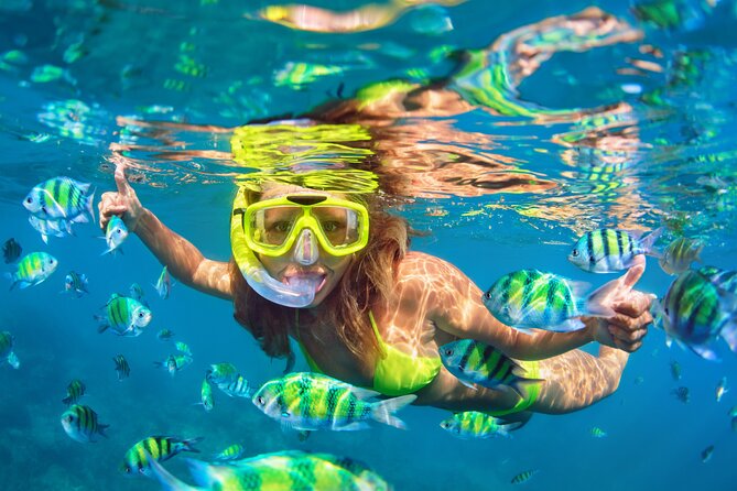 Island Adventure - Timing in an 8-Hour Day: The Real Rhythm of the Schedule
