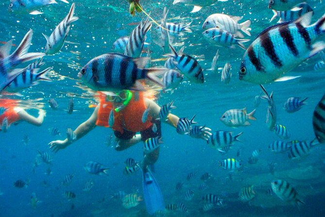Jungle Tour Adventure in Cancun with Snorkeling - Why driving your own speedboat feels different on Nichupté Lagoon