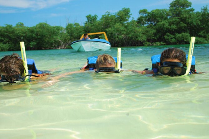 Jungle Tour Adventure in Cancun with Snorkeling - What to pack, how to plan your timing, and who it suits best