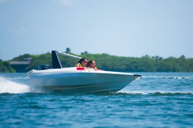 Jungle Tour Adventure in Cancun with Snorkeling - Should you book this Cancun jungle speedboat and snorkeling tour?