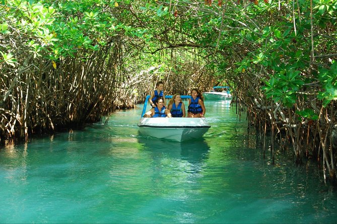 Jungle Tour In Cancun, drive a speedboat through the lagoon with your companion - Step One: The Nichupte Lagoon Mangrove Run (About 45 Minutes)