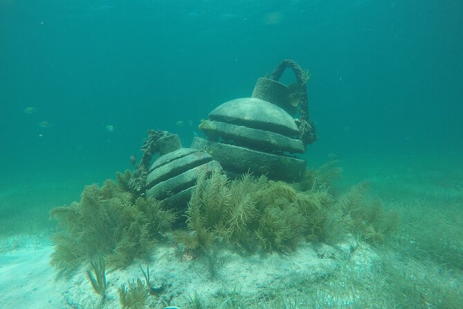 Jungle Tour & Snorkel at Punta Nizuc Reef , Underwater museum - Riding the lagoon and mangroves before the reef