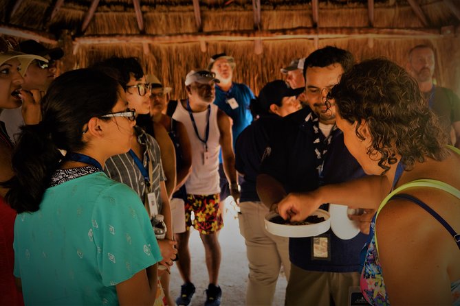Kaan Luum & Cenotes Mayan Traditions - Price and the extra $25 admissions that affect real value