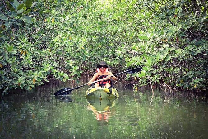 Kayak Adventure in Cancun - Small group of eight: why it feels more like a nature outing