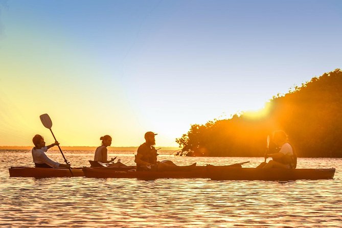 Kayak adventure through Laguna Nichupté in Cancun - Why Laguna Nichupté beats another Cancun beach day