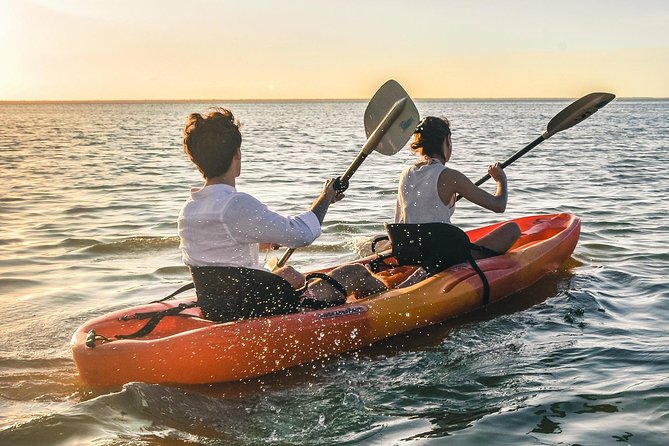 Kayak adventure through Laguna Nichupté in Cancun - Mangrove tunnels: where starfish and sponges come into view
