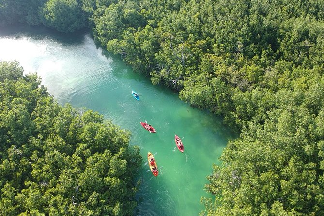 Kayak adventure through Laguna Nichupté in Cancun - The price makes sense for what you get