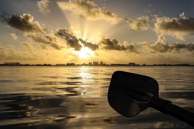 Kayak Tour at Sunset in Cancun - Price and Value: Is $50.12 Worth Two Hours?
