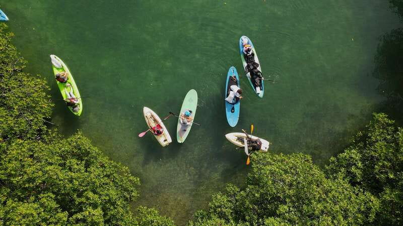 Kayak Tour in Cancun with Photos included - Key highlights you should care about