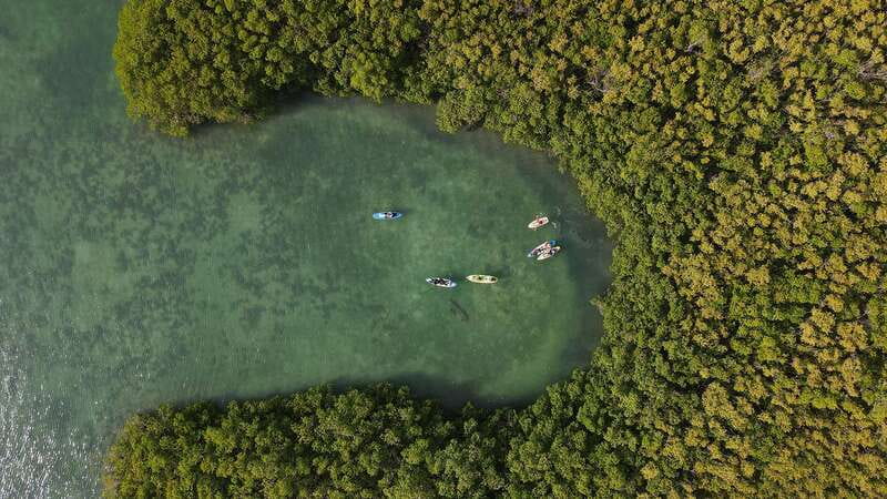 Kayak Tour in Cancun with Photos included - Why Nichupté Lagoon Beats the Beach for a Cancun Sunset