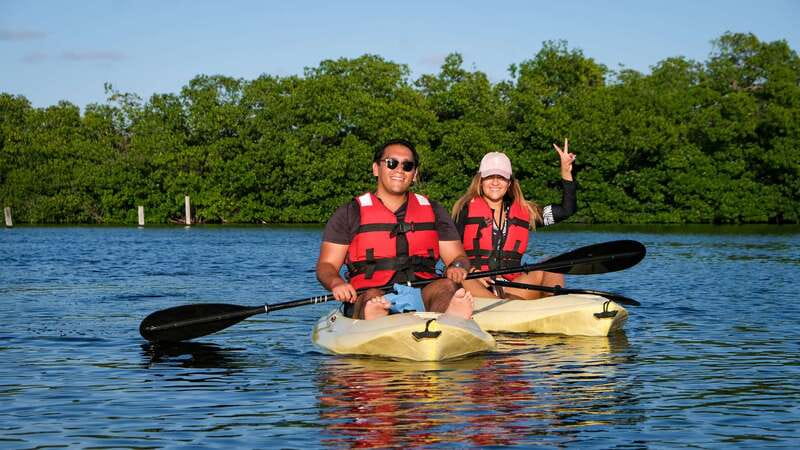 Kayak Tour in Cancun with Photos included - The 2-Hour Guided Paddle: Calm Water and Wildlife Chances