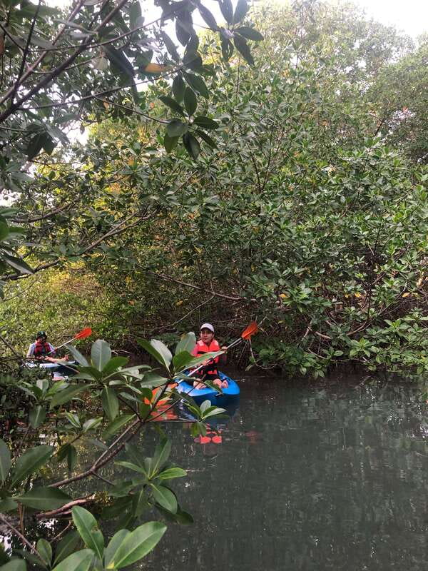 Kayak Tour in Cancun with Photos included - Practical Tips Before You Go: What to Bring and What to Avoid