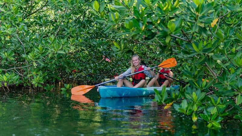 Kayak Tour in Cancun with Photos included - Getting to Marina Kaybal and What Happens in the First 15 Minutes