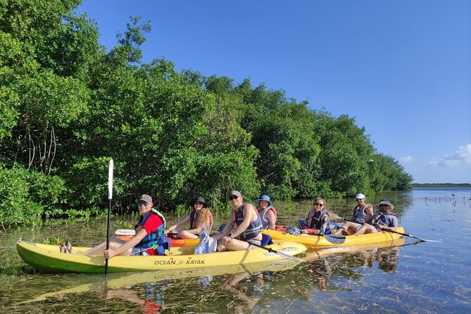 Kayak TOUR POR Laguna Nichupte Cancun - Cancun’s mangrove side: why Nichupte feels special