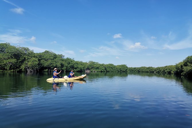 Kayak TOUR POR Laguna Nichupte Cancun - Guides and group energy: where Axel and Gabby shine