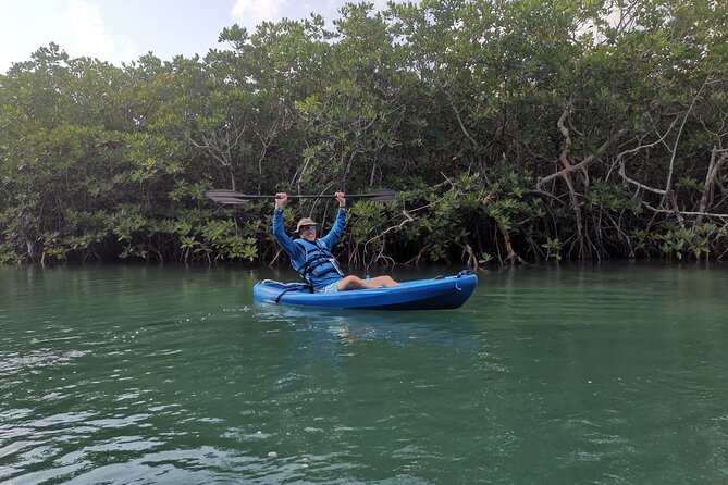 Kayak TOUR POR Laguna Nichupte Cancun - Wildlife and mangroves: setting expectations the smart way