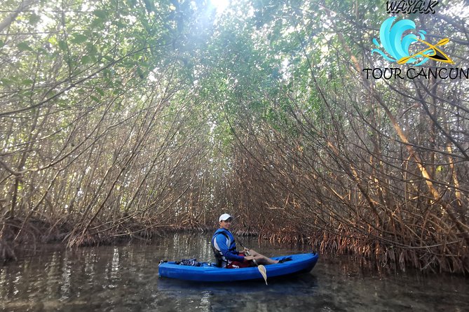 Kayak TOUR POR Laguna Nichupte Cancun - Who this kayak tour is best for (and who should skip it)