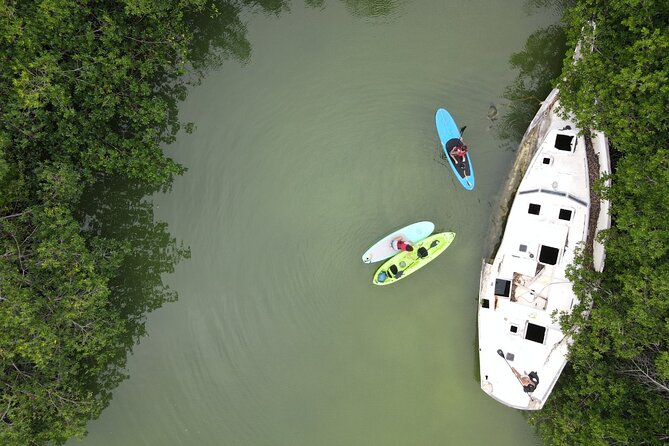 Kayaking Tour in Cancun - Who This Kayaking Tour Fits Best (and Who Might Want Another Option)
