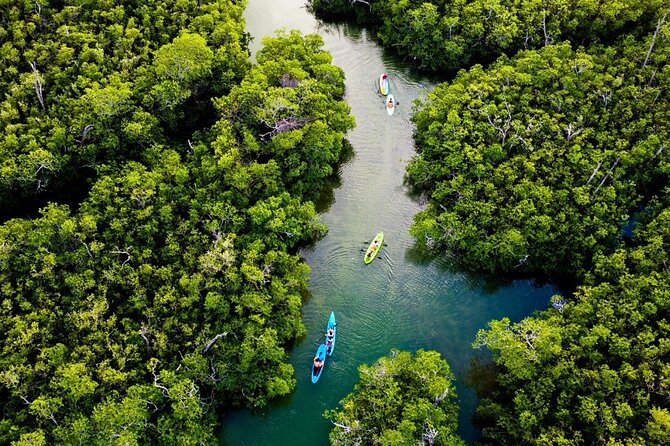 Kayaking Tour in Cancun - Value and What You Get for Your Time