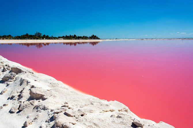 Las Coloradas and Rio Lagartos Tour with All Inclusive - Comfort tips and small gotchas that matter