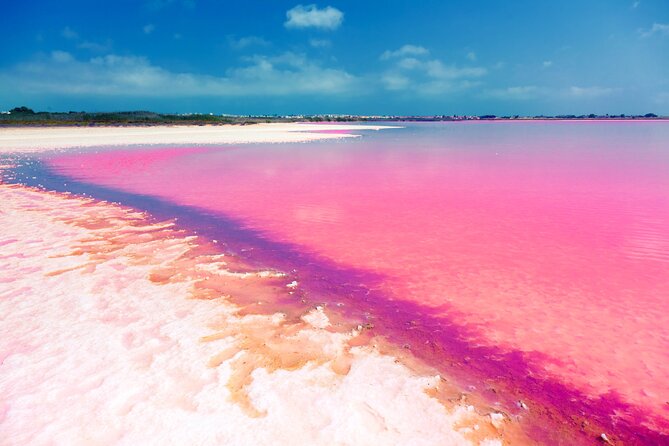 Las Coloradas and Rio Lagartos Tour with All Inclusive - Should I book this Cancun day trip?