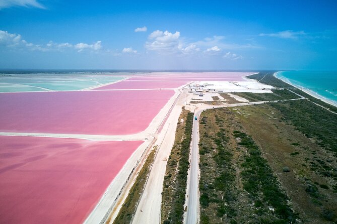 Las Coloradas Pink Lake & Rio Lagartos Guided Tour - The Price of $144 and Why It Can Be Fair Value