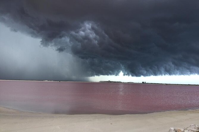 Las Coloradas Pink Lakes & Río Lagartos Wildlife Tour - Pink Water at Las Coloradas: Salt Ponds and Rose-Colored Photos
