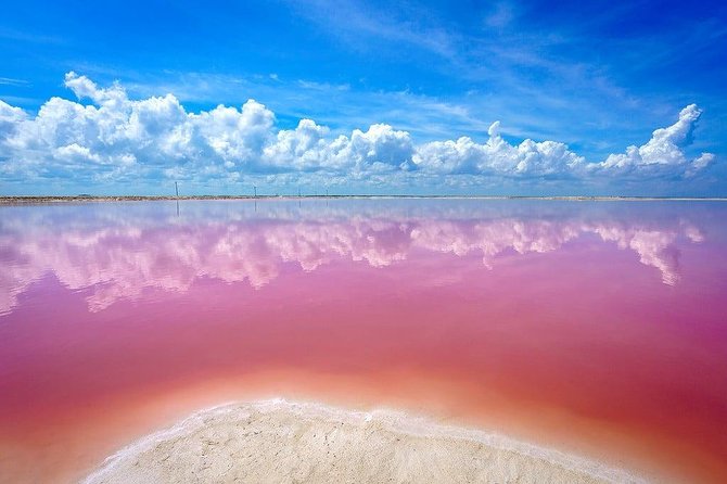 Las Coloradas Pink Lakes & Río Lagartos Wildlife Tour - Guide Quality and the Small Details That Shape Your Day