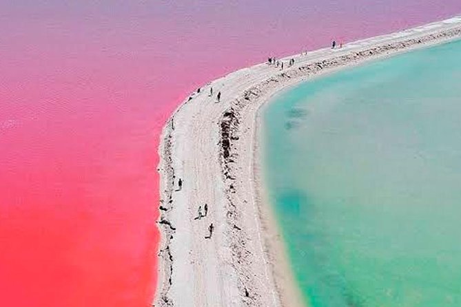 Las Coloradas & Rio Lagartos Tour from Cancún - Salt process lesson: what you learn before you leave Las Coloradas