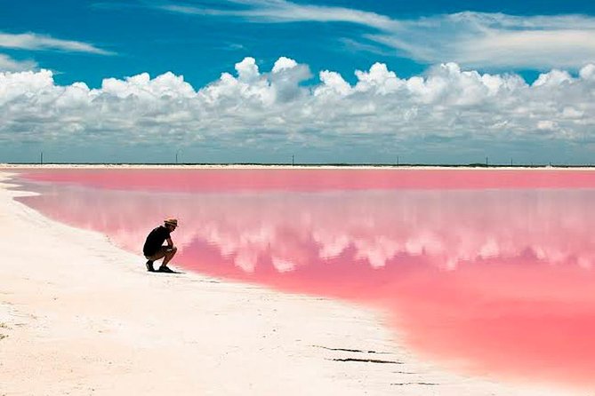 Las Coloradas Tour! Boat Ride, Lunch & Rio Lagartos from Cancun - Your all-day plan: Cancun to Las Coloradas, then Rio Lagartos