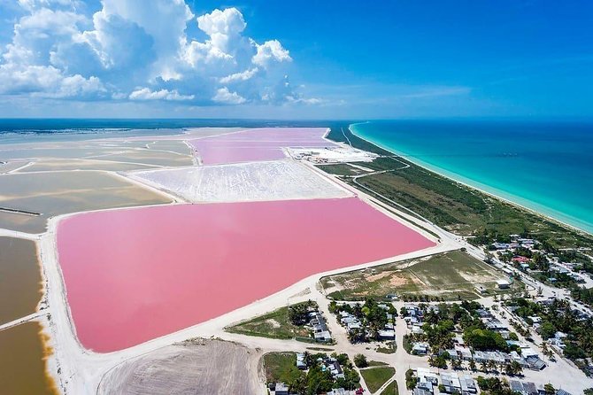 Las Coloradas Tour! Boat Ride, Lunch & Rio Lagartos from Cancun - Stop 2: Rio Lagartos boat ride through canals, mangroves, and wildlife