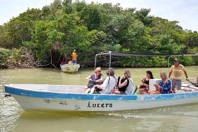 Las Coloradas Tour! Boat Ride, Lunch & Rio Lagartos from Cancun - The Mayan mud bath: natural exfoliation and a reset
