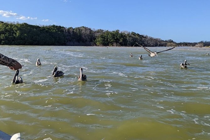 Las Coloradas Tour! Boat Ride, Lunch & Rio Lagartos from Cancun - Food and pacing: box lunch, restaurant lunch, and what to do about drinks
