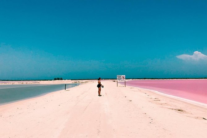 Las Coloradas Tour! Boat Ride, Lunch & Rio Lagartos from Cancun - Who this tour suits best, and who should think twice