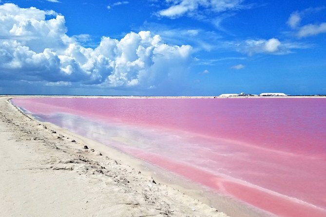 Las Coloradas Tour from Cancun and Playa del Carmen - Who should book this tour, and who might want another plan