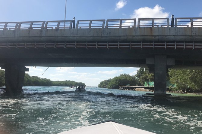 Live the experience of driving an Speedboat & Snorkel in CANCUN - Timing, group size, and who this tour fits best