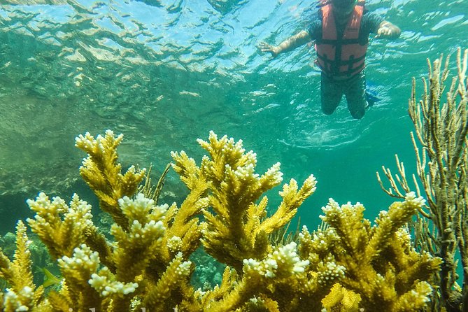 Local Fishing Plus Snorkeling Tour in Isla Mujeres - Fishing for the Catch of the Day, Without the Usual Headaches