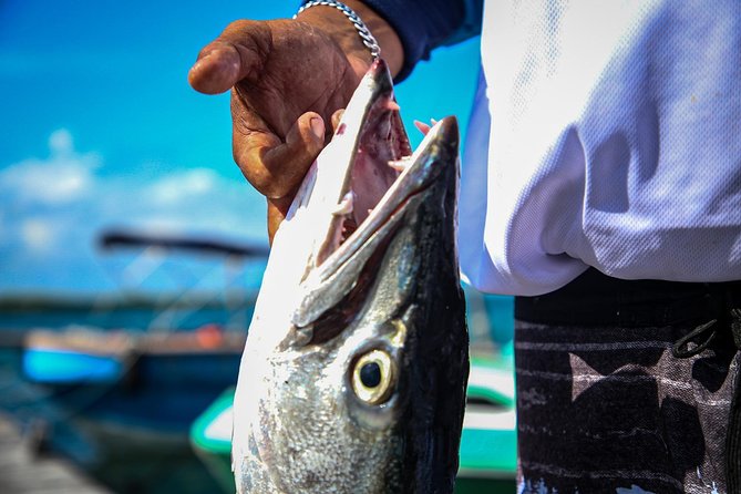 Local Fishing Plus Snorkeling Tour in Isla Mujeres - Private Guide and Captain Setup, and What Personalization Changes