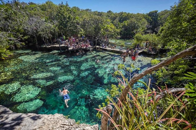MAGIC BACALAR, 7 Colors Lagoon & Cenote Azul. Transport included - Marmol Beach Club and 1 hour of kayaking on the Lagoon of the Seven Colors