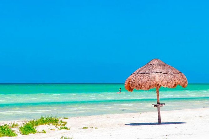 Magic Island Holbox! Experience From Cancun & Playa del Carmen - Isla Holbox free time: how to use your 3 hours well