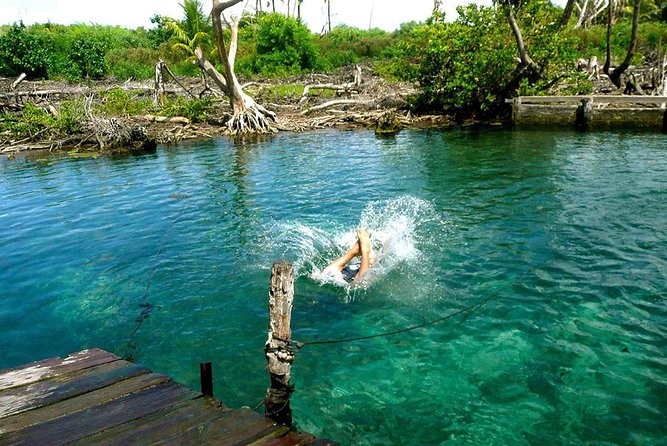 Magic Island Holbox! Experience From Cancun & Playa del Carmen - Punta Mosquito beach: shallow water and that white-sand look