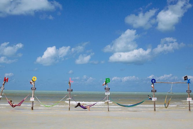 Magic Island Holbox! Experience From Cancun & Playa del Carmen - Food and drinks: box lunch, one chosen dish, and one beer