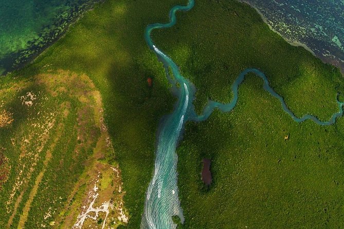 Mangrove and Lagoon Speed Boat Tour - Laguna Nichupte Is the Real Reason to Come