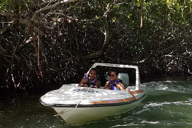 Mangrove and Lagoon Speed Boat Tour - Private Beach Stop: What the Description Promises