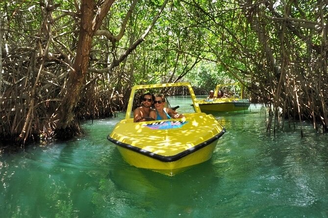 Mangrove Jungle Speedboat Experience - Mangrove Jungle Views on Nichupte Lagoon (What You Actually See)