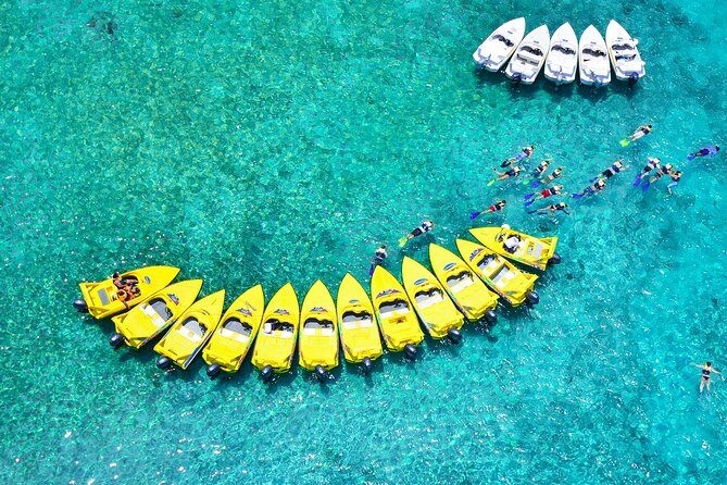 Mangrove Jungle Speedboat Experience - Stop 1: Mayan Coral Reef, and What the Reef Stop Gives You
