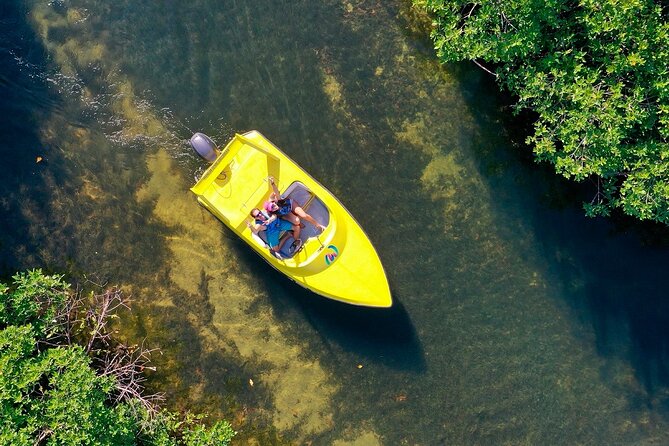 Mangrove Jungle Speedboat Experience - Stop 2: Museo Subacuatico de Arte and the Underwater Art Stop