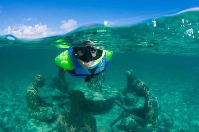 Mangrove Jungle Speedboat Experience - Price and Value: What $49 Covers, and the Real All-In Cost