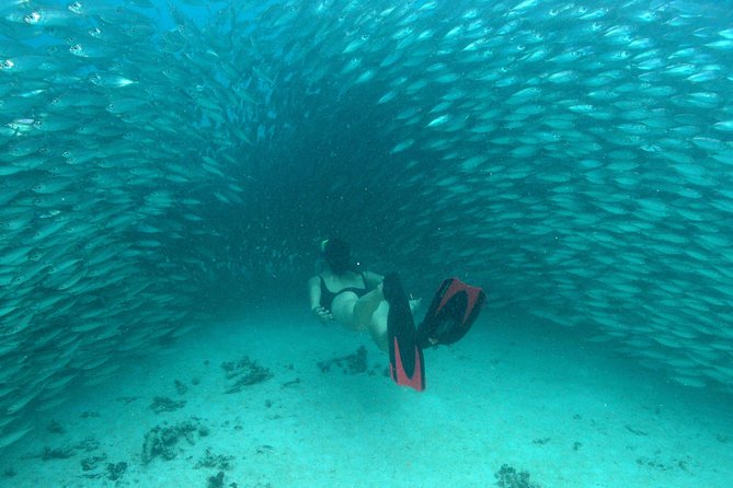 Mayan Adventure from Playa del Carmen - From 7:00 am pickup to a small-group water day