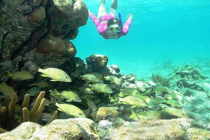 Mayan Adventure from Playa del Carmen - Cenote time: a sinkhole pool formed by collapsed cavern roofs